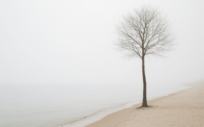 Jak robić zdjęcia minimalizmu w naturze