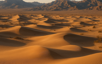 Jak fotografować pustynie i krajobrazy suche